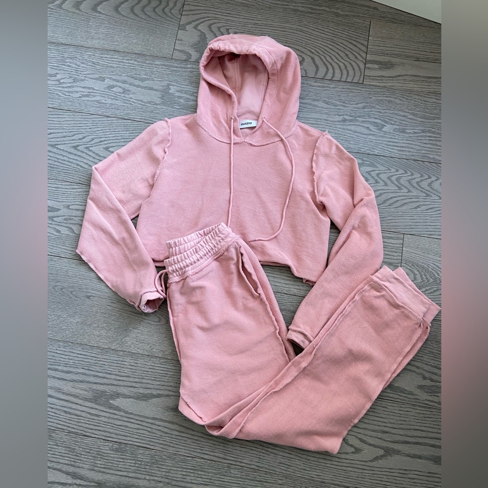 Danielle Guizio Pink Sweatsuit Set (Crop Hoodie & Sweatpants)